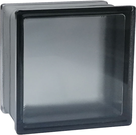 Bloc de Sticlă Riva Gri 19x19x8