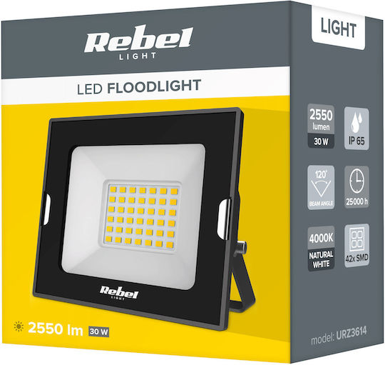 Rebel Στεγανός Προβολέας LED 30W Φυσικό Λευκό 4000K IP65