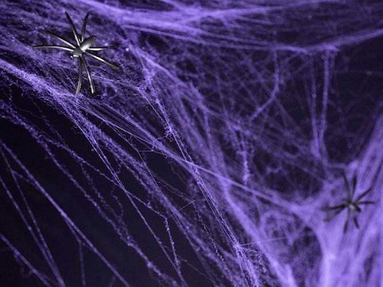 Purple Spider Web 60g