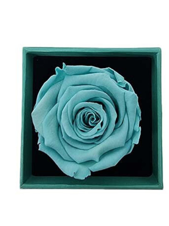 Velve Ac Floare Roz