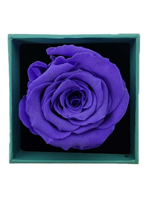 Velve Pin Blume Lila