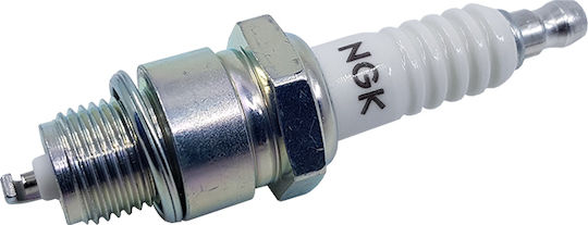 Ngk Spark Plug