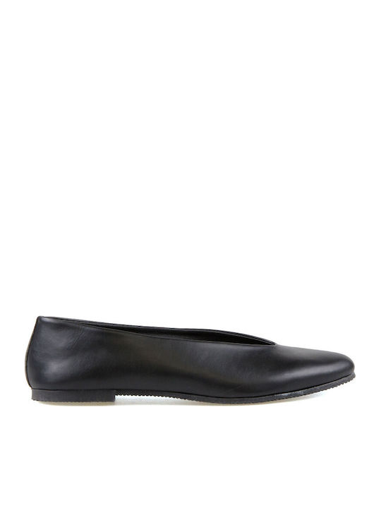 Silia D