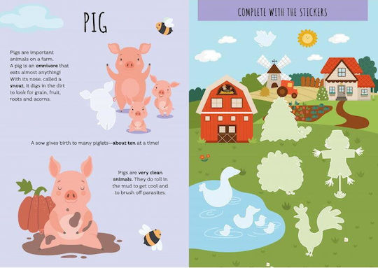 Stickers And Activities. The Farm - Sassi - Stickers