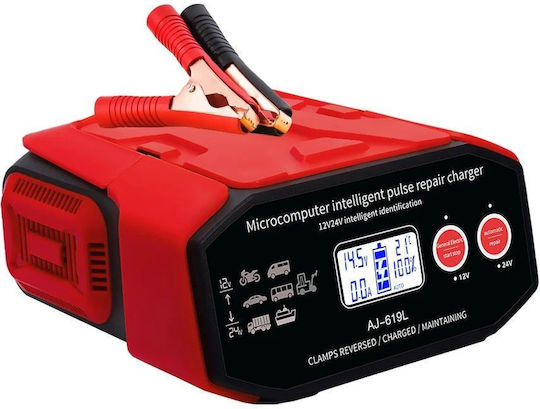 Încărcător Baterii Automobil și Camion 12/24V