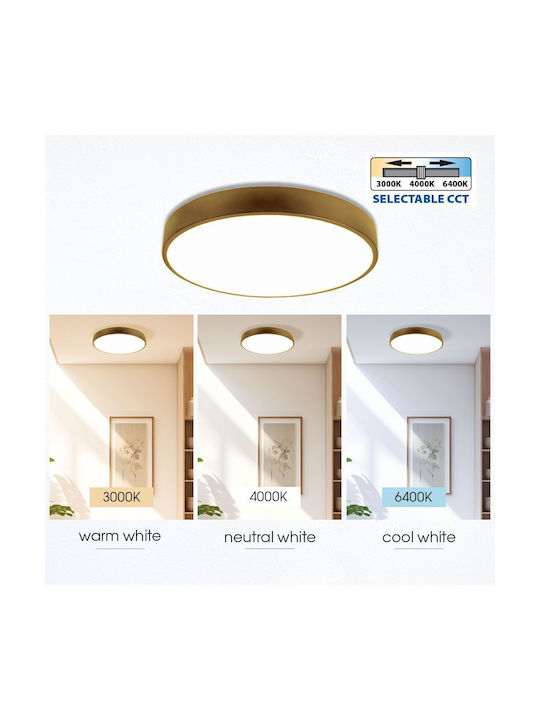 Vivalux Luka Ceiling Mount Light 50cm Gold with Integrated LED