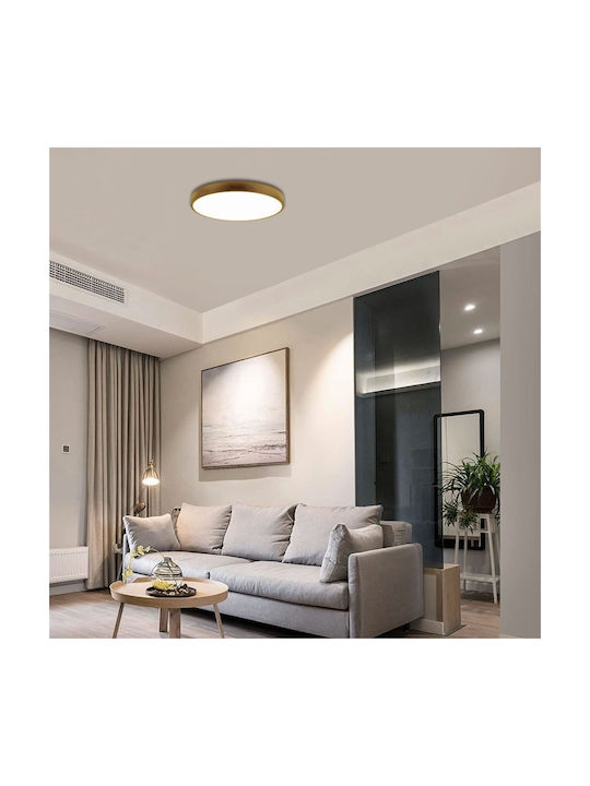 Vivalux Luka Ceiling Mount Light 50cm Gold with Integrated LED