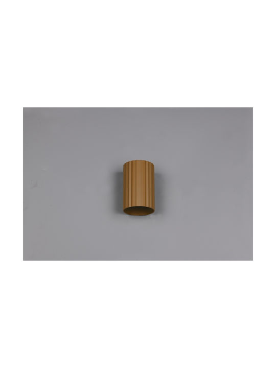 Trio Lighting Imaria Modern Leuchte Wand mit Fassung G9 Braun 8x12cm