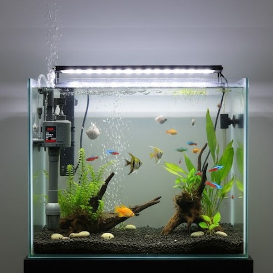 Aquarium-Zirkulationspumpe