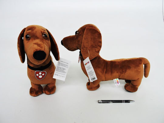 Λούτρινο Dachshund