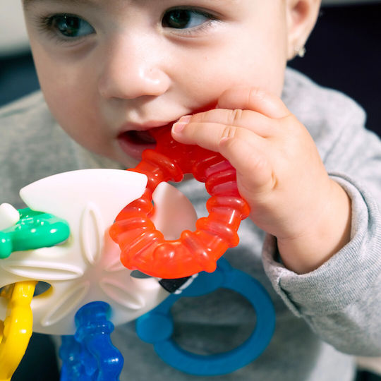 Baby Einstein Βρεφικό Παιχνίδι με Μουσική