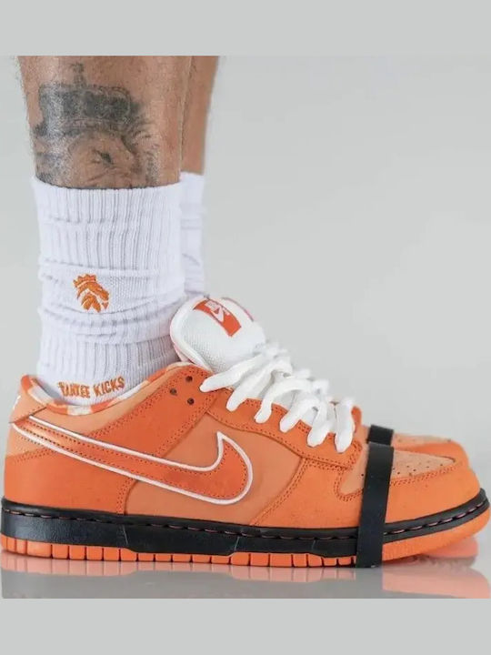 Adidași Dunk Cu Talpă Joasă SB Portocalii