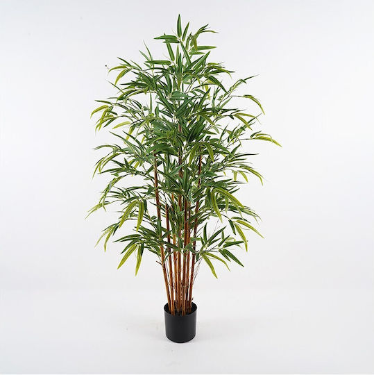 Planta Decorativă În Ghiveci Rhapis Palm Inart Verde Ø60x120cm