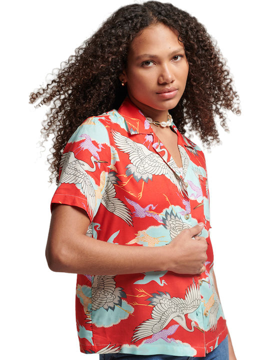 Superdry Superdry