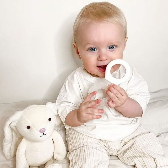 Twistshake Cooler Teether Ring with Gel & Water BPA Free Silicone for 2 Months+
