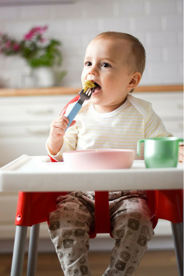 Doidy Baby Food Bowl made of Silicone Red