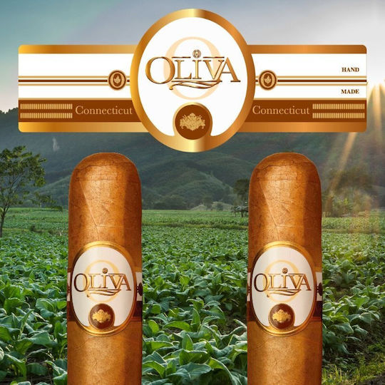 Oliva Reserve Robusto Πούρο Κονέκτικατ 165mm