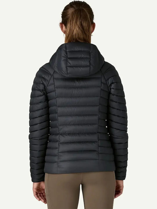 Patagonia