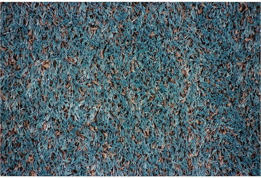 Nikotex Carpets Carpet Jade Price Per Meter