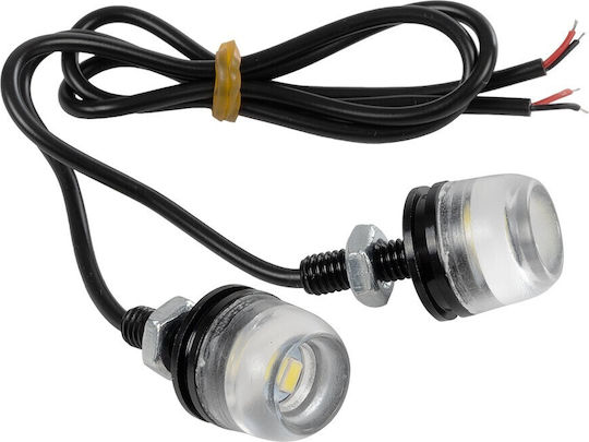 Globostar Platelight 81632 License Plate Light & DRL LED 3W/6W 270lm/540lm 120° DC 12V Waterproof IP65 Cool White 6000K Black M1.8 X W3.8 X H1.8cm Q0.5cm Pack of 2 Pieces 1 Year Warranty