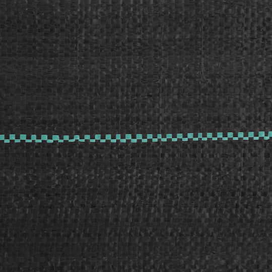 vidaXL 313068 Ύφασμα Εδαφοκάλυψης 60gr/m² 2x100m Μαύρο