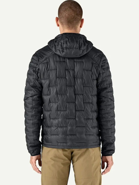 Patagonia
