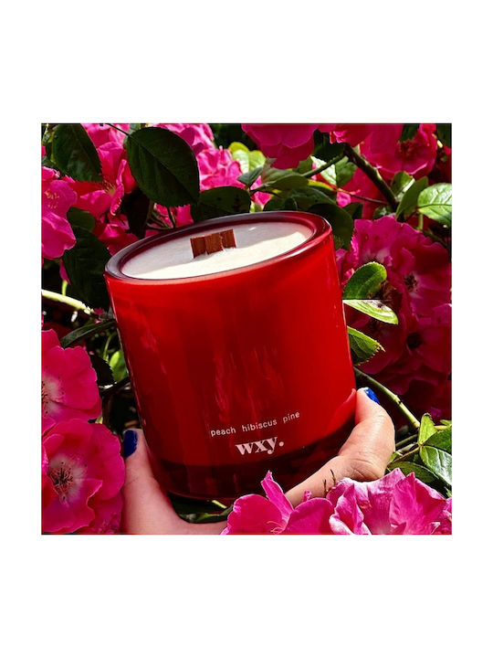 wxy. Aromatic Candle in Jar with Perfume Roam 350g