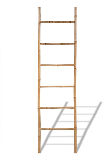 vidaXL Σκάλα Μπάνιου 6 Θέσεων Επιτοίχια ​50x190cm Ασημί