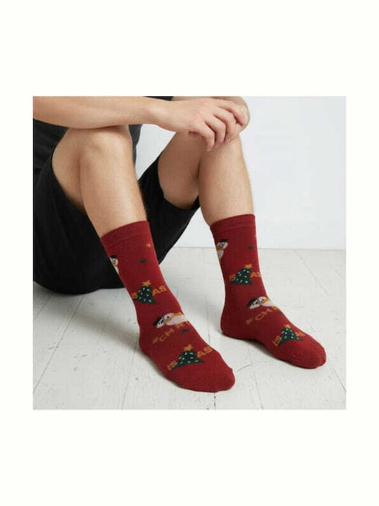 Prive Men's Christmas Socks Burgundy