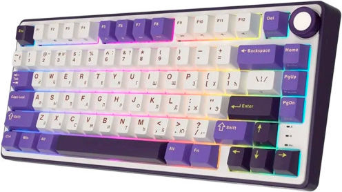 Royal Kludge R75 Ασύρματο Gaming Μηχανικό Πληκτρολόγιο 75% με Custom Silver διακόπτες και RGB φωτισμό (Αγγλικό US) Μωβ