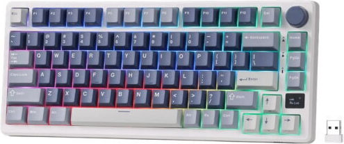 Royal Kludge RK-M75 Ασύρματο Gaming Μηχανικό Πληκτρολόγιο 75% με Custom Brown διακόπτες και RGB φωτισμό (Αγγλικό US) Μπλε