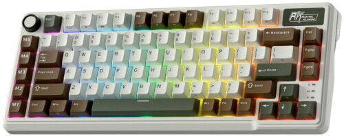 Royal Kludge RK-L75 Drahtlos Gaming Mechanische Tastatur 75% mit Benutzerdefinierte Creme Schaltern und RGB-Beleuchtung (Englisch US) Gray