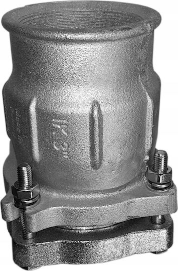 Agaflex Compression Fitting Agaflex Bare End Steel Pipe Blue Pe Female Thread 3" 10020018