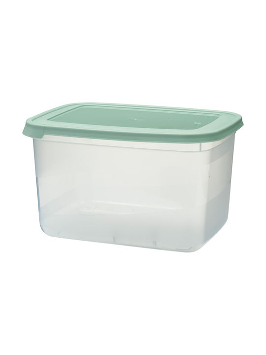 Excellent Houseware Plastic Lunch Box Transparent 27x20cm 13pcs