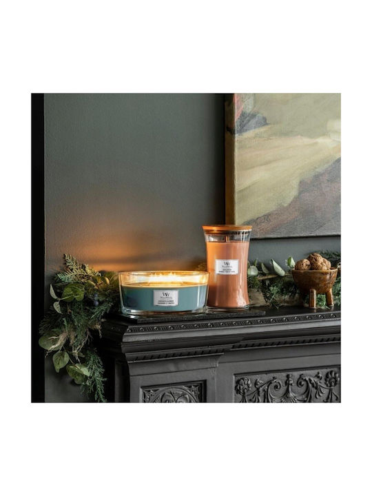 WoodWick Scented Soy Candle Jar with Scent Evergreen Cashmere 453.6gr 1pcs