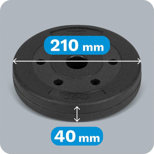 Σετ Δίσκοι 4 x 2.5kg Φ31mm