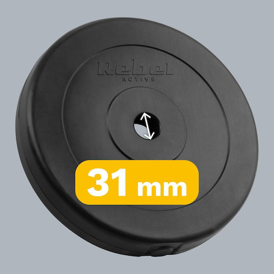 Σετ Δίσκοι 2 x 10kg Φ31mm