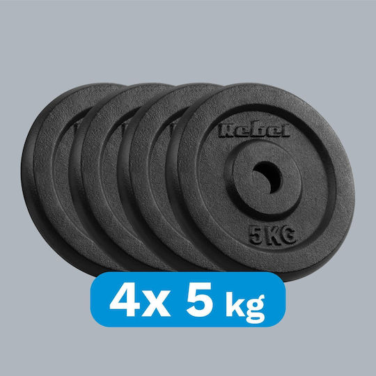 Scheibenset Metall 4 x 5kg Ø31mm