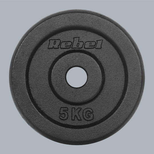 Scheibenset Metall 4 x 5kg Ø31mm
