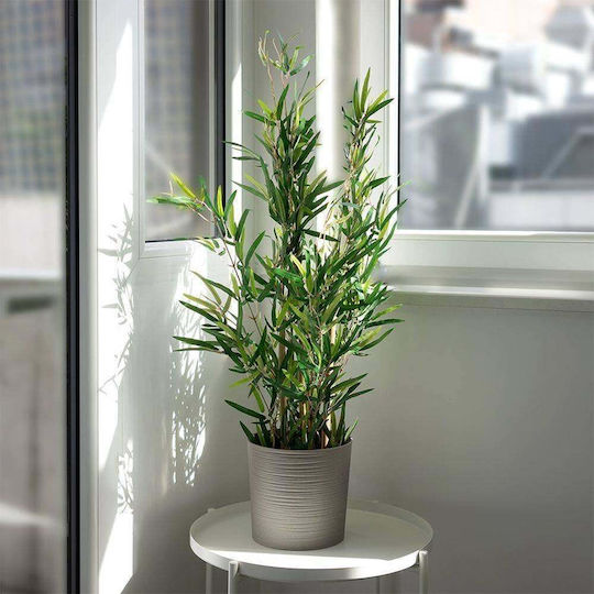 Μπαμπού σε Γλάστρα 90cm JK Home Decoration