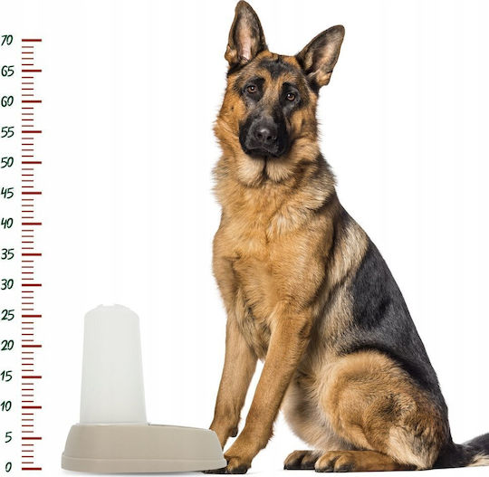 Barry King Automatic Waterer for Dog & Cat 2.5lt in Beige Color