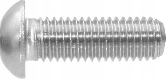 Caymon Schraube DIN 7985 mit Länge 5mm 100Stück
