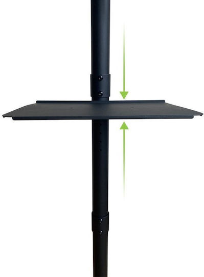 Techly ICA-TR201 Βάση Τηλεόρασης Δαπέδου έως 60" και 40kg Μαύρο