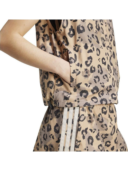 Women's Lifestyle Jacket for Winter Brown