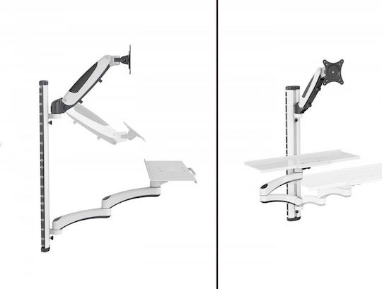Digitus Wandmontiert Halterung Monitor bis 32" mit Arm Weiß (DA-90451)