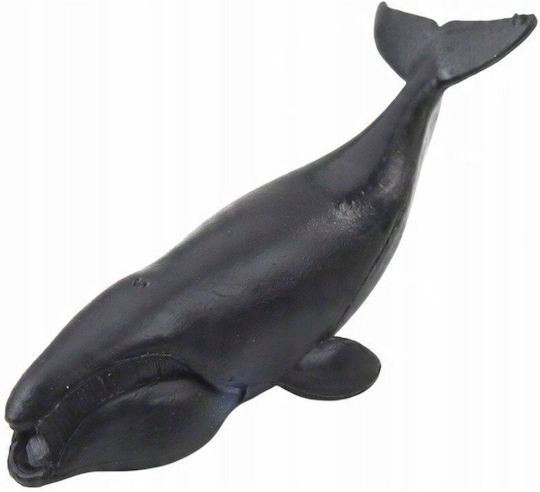 Set Mini Figures Marine Mammals Orca Photo Dolphin 6-8cm 6pcs