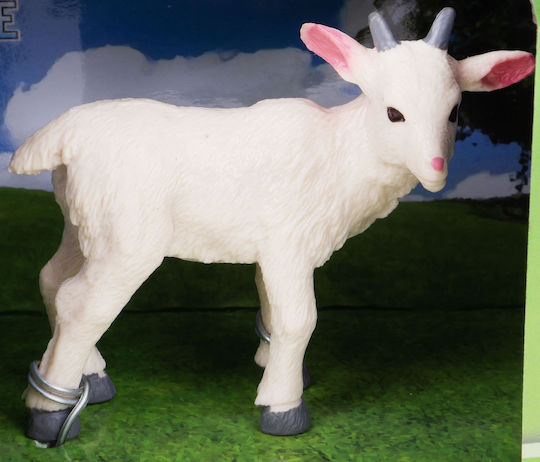 Hipo Domestic Animals Sheep Pig Goat 570449 06905