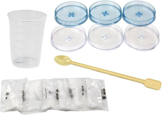 Educational Kit Crystal Tree Growing Experience