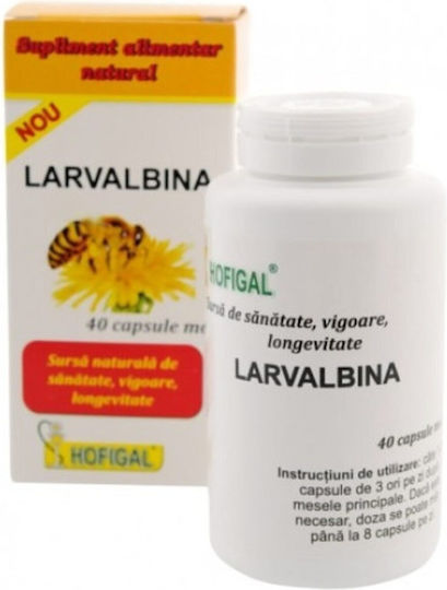 Hofigal Larvalbina 400mg Supliment Pentru Memorie Și Concentrare 40 Capsule