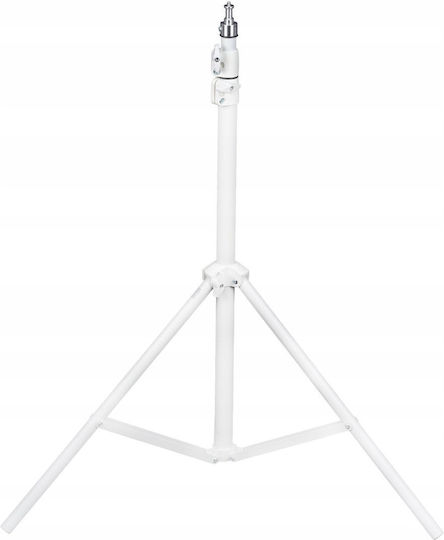 Newell Stand De Iluminat Taranis Alb